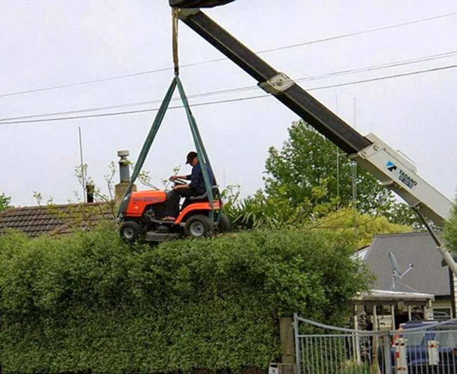 Cum să tunzi "gardul viu" când acesta este prea înalt