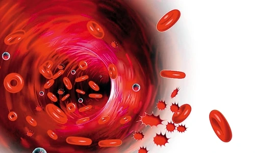 1 73735 original jpg jpeg