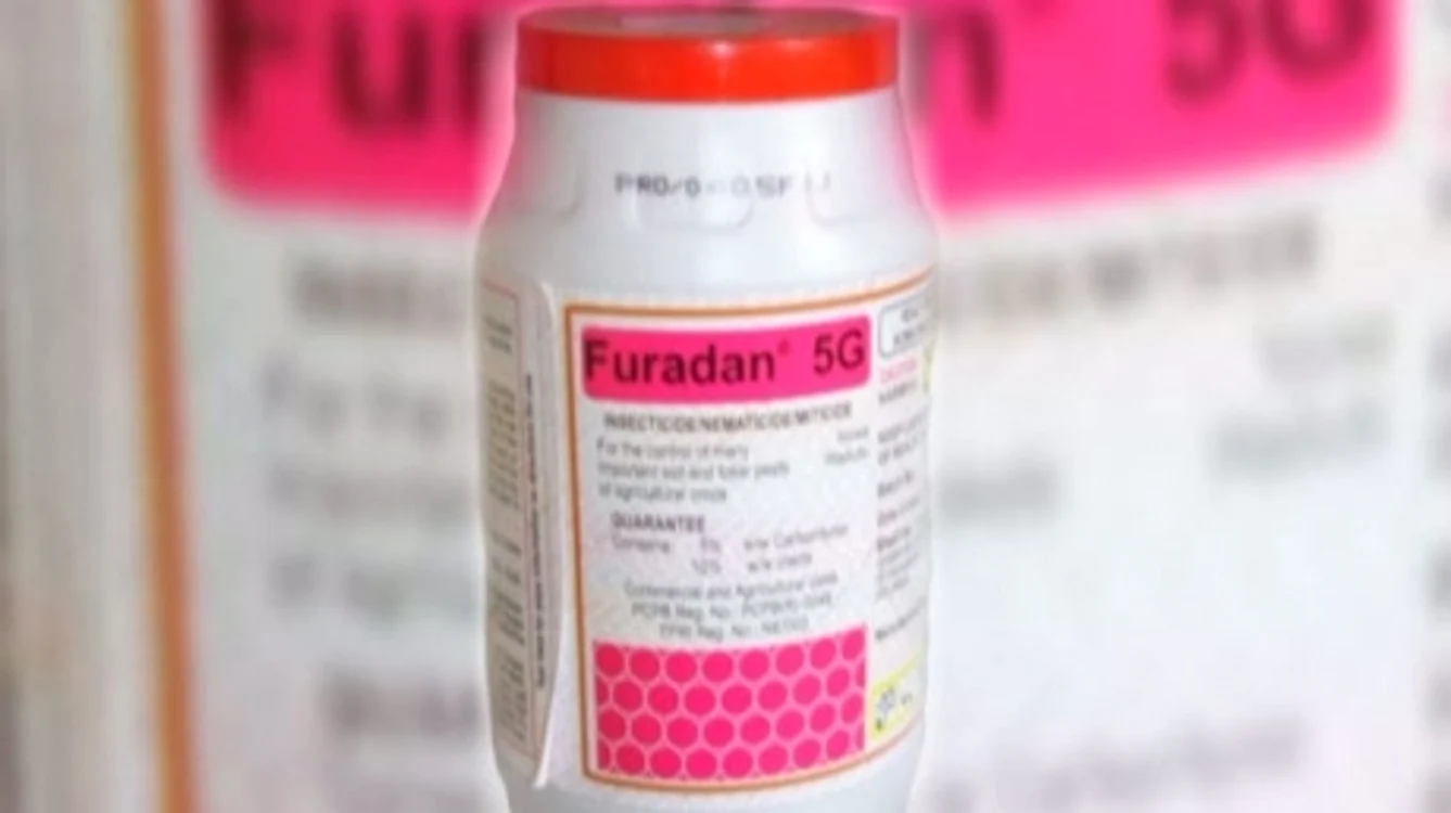 
    Furadan FOTO: Realitatea  