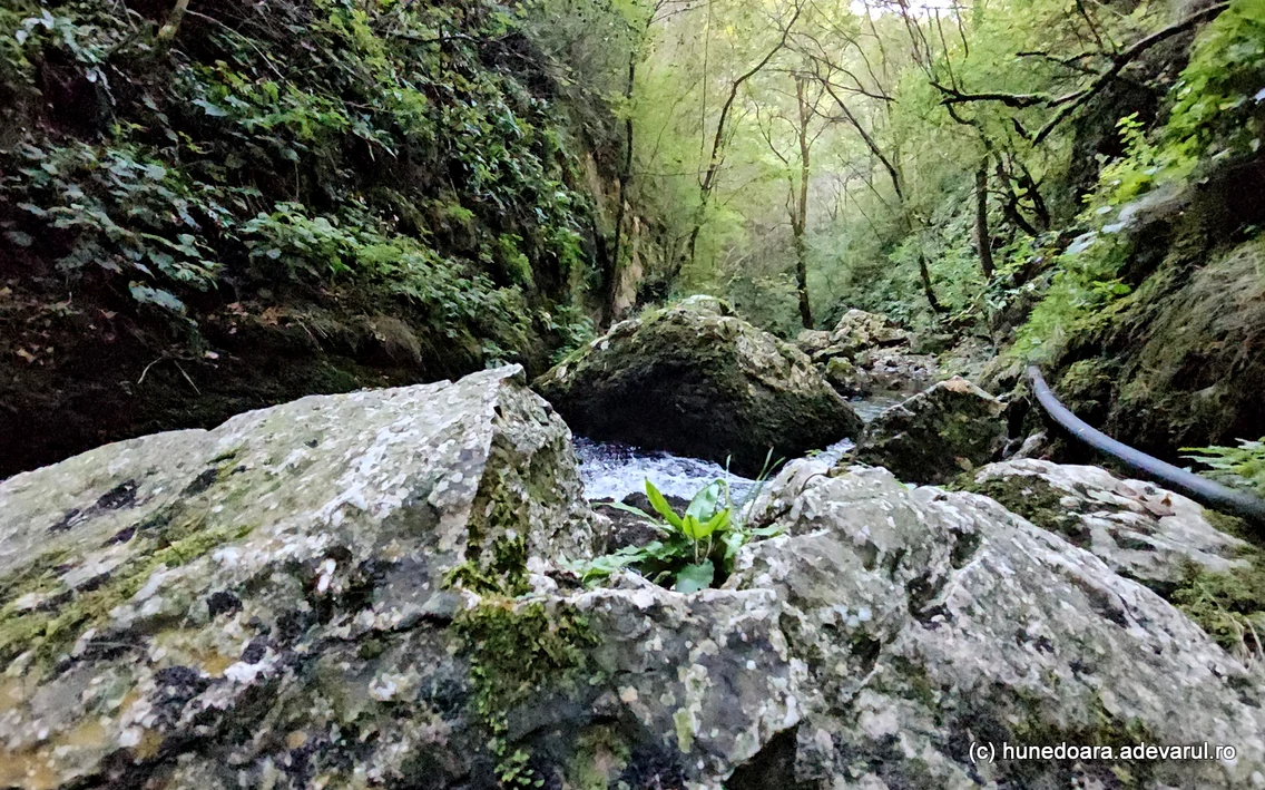 Pestera Sura Mare  Foto Daniel Guță  ADEVĂRUL (19) jpg