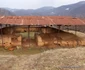 cetatea dacica de la costesti foto daniel guta adevarul