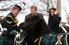 harry- meghan
