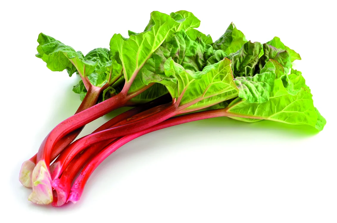 rubarba shutterstock 98394089 jpeg