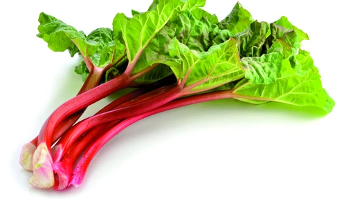 rubarba shutterstock 98394089 jpeg