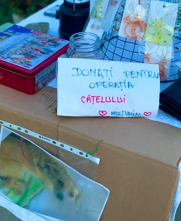 
    Tiara a vândut accesorii făcute cu mâna ei ca să strângă bani pentru operația cățelului ei   