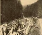 Transalpina in 1936 Foto Vremea (4) jpg