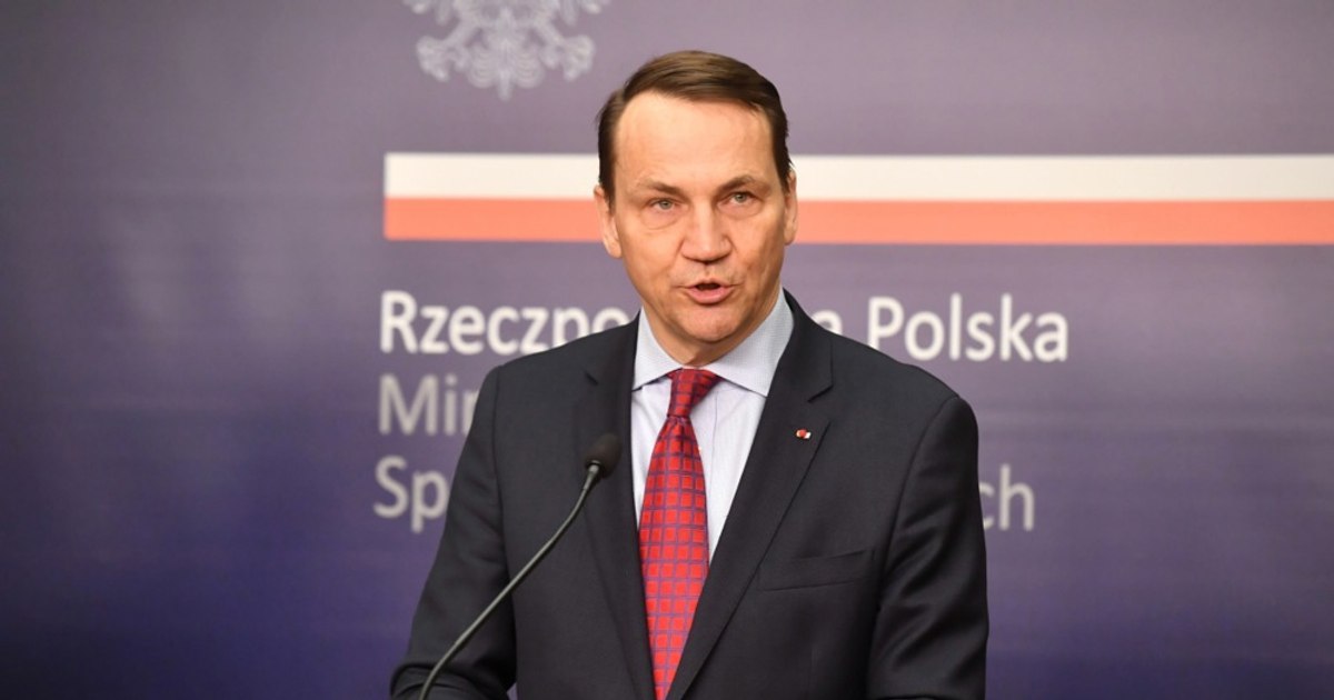 Polonia propune crearea unei bănci de reînarmare pentru apărarea UE