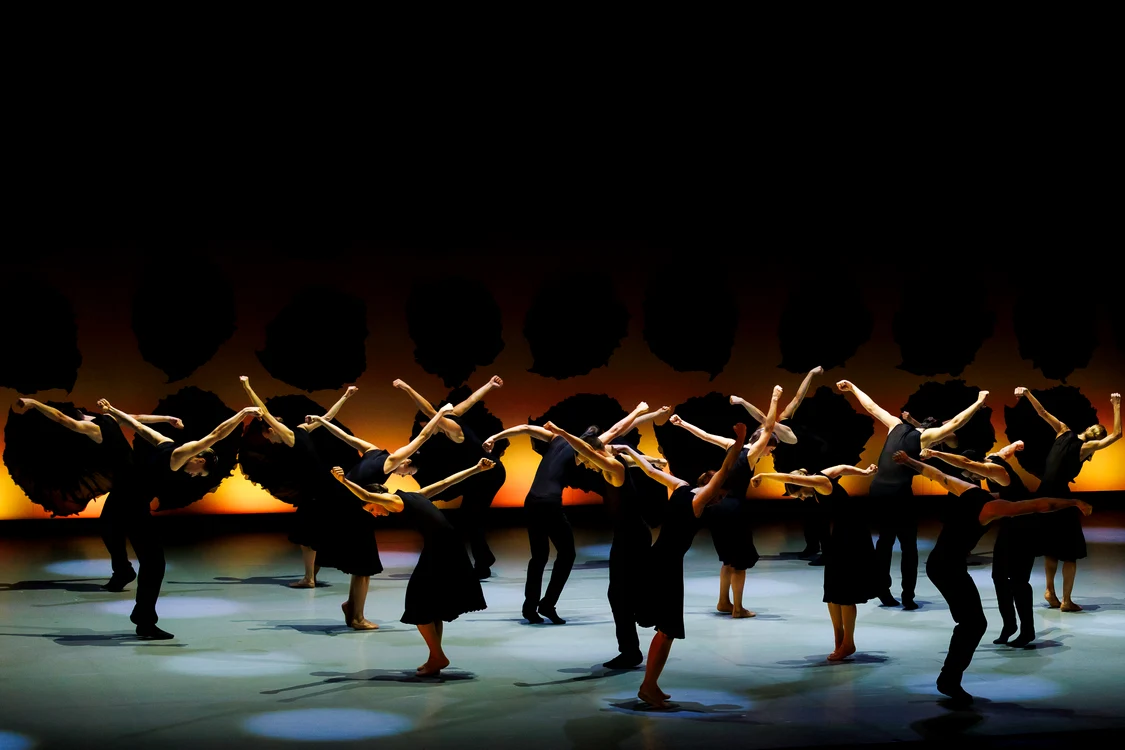 Foto: Petrică Tănase / George Enescu Festival
