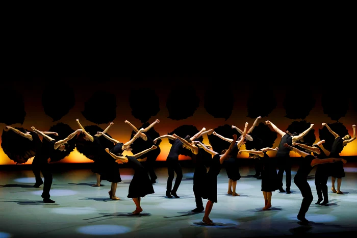 Foto: Petrică Tănase / George Enescu Festival