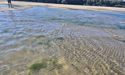 dunare secata aproape de Giurgiu  Foto Adevarul jpeg