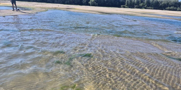 dunare secata aproape de Giurgiu  Foto Adevarul jpeg