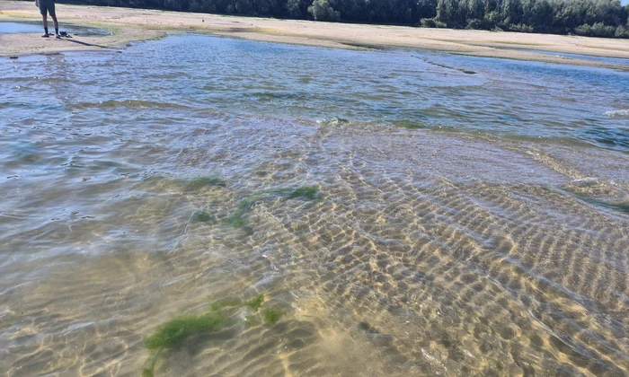 dunare secata aproape de Giurgiu Foto Adevarul jpeg