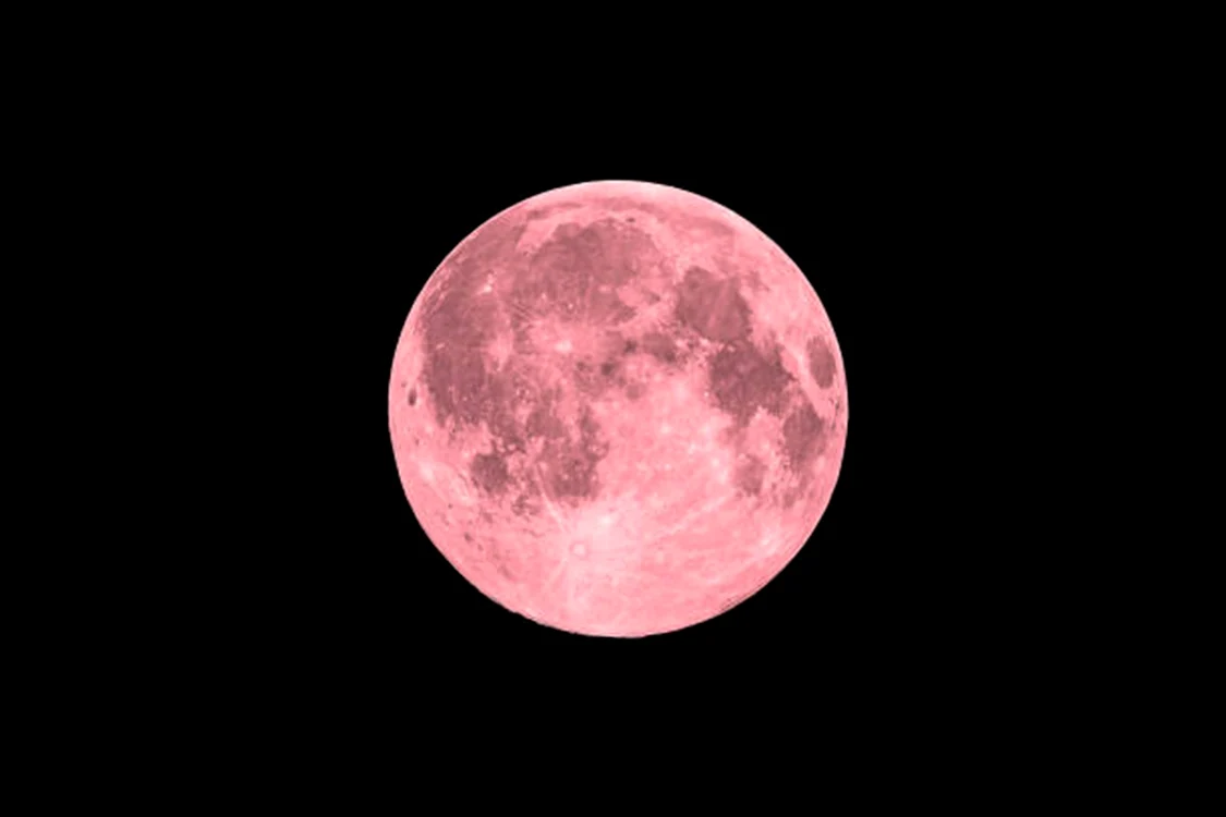 Luna Căpșună va avea loc la finalul lui iunie