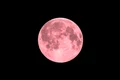 luna roz istock jpg