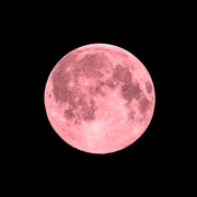 luna roz istock jpg