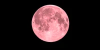 luna roz istock jpg