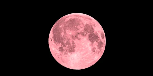 luna roz istock jpg