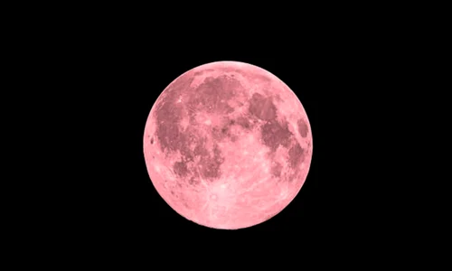 luna roz istock jpg