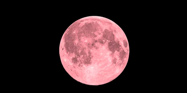 luna roz istock jpg