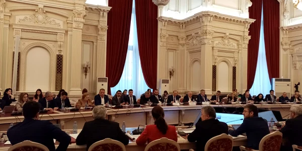 Comisiile de specialitate pentru pensiile speciale FOTO Radu Eremia jpeg