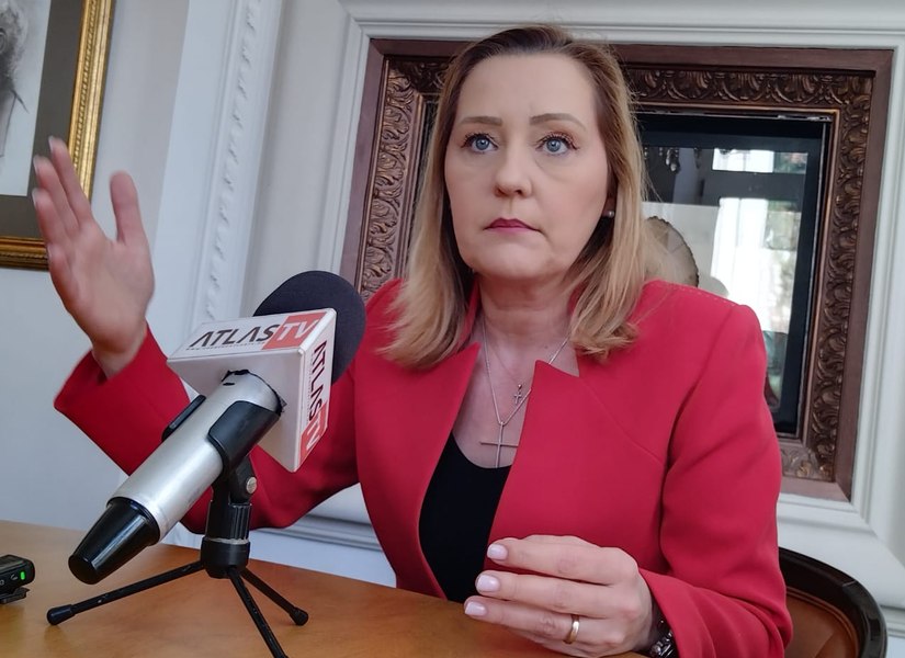 Elena Lasconi, radicală cu Nicuşor Dan: „N-are nicio şansă să ajungă în turul doi”