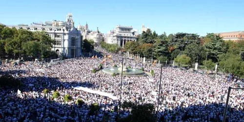 Mars pentru unitatea Spaniei la Madrid FOTO Twitter @locodelpelorojo