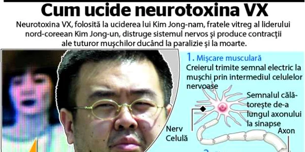 infografie VX