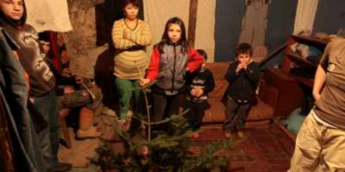 Cei cinci copiii ai familiei Czanka îşi vor petrece Crăciunul în casa unchiului lor.