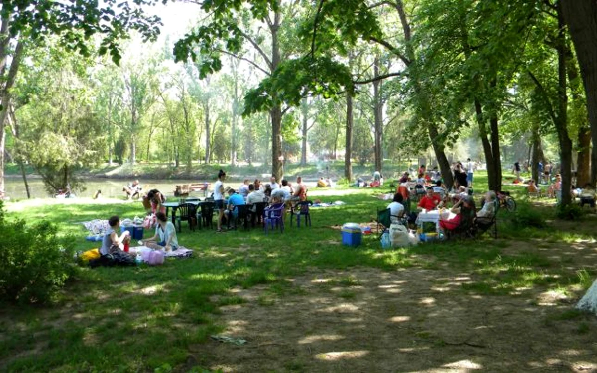 
    Oamenii au fost înţepaţi de insecte atunci când au ieşit la iarba verde  