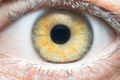 ochi uman foto shutterstock