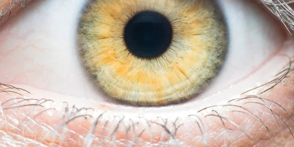 ochi uman foto shutterstock