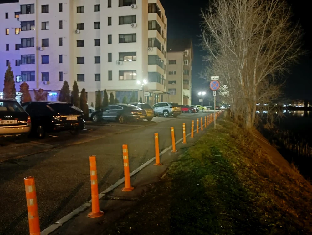 Popicele au apărut în mai multe locuri din Bacău