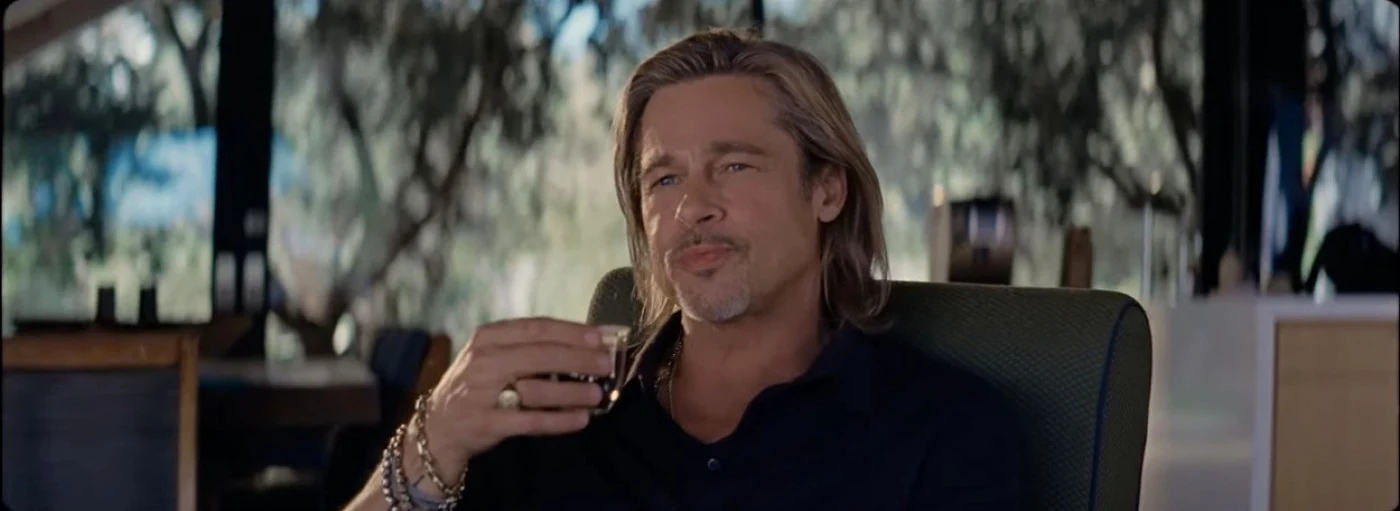 Brad Pitt. Foto: Profimedia