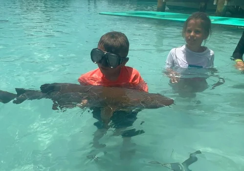 baietel muscat de rechini 2 jpg