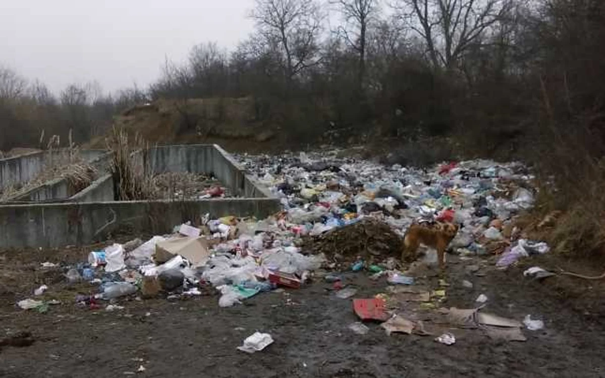 Un teren s-a transformat în groapă de gunoi  FOTO: Ştefan Borcea