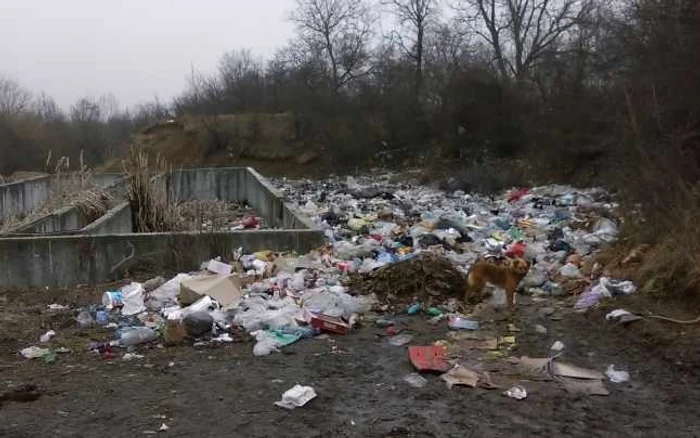 Un teren s-a transformat în groapă de gunoi FOTO: Ştefan Borcea