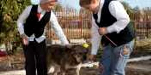 Programul guvernamental a ajuns de râsul... câinilor! Foto: Cosmin Costache