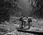 Muntii Apuseni Foto Viorel Simionescu (8) jpg