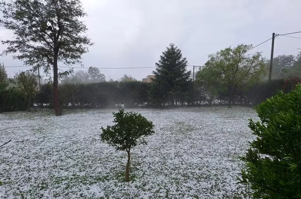 Un val de frig record a lovit Argentina FOTO: X