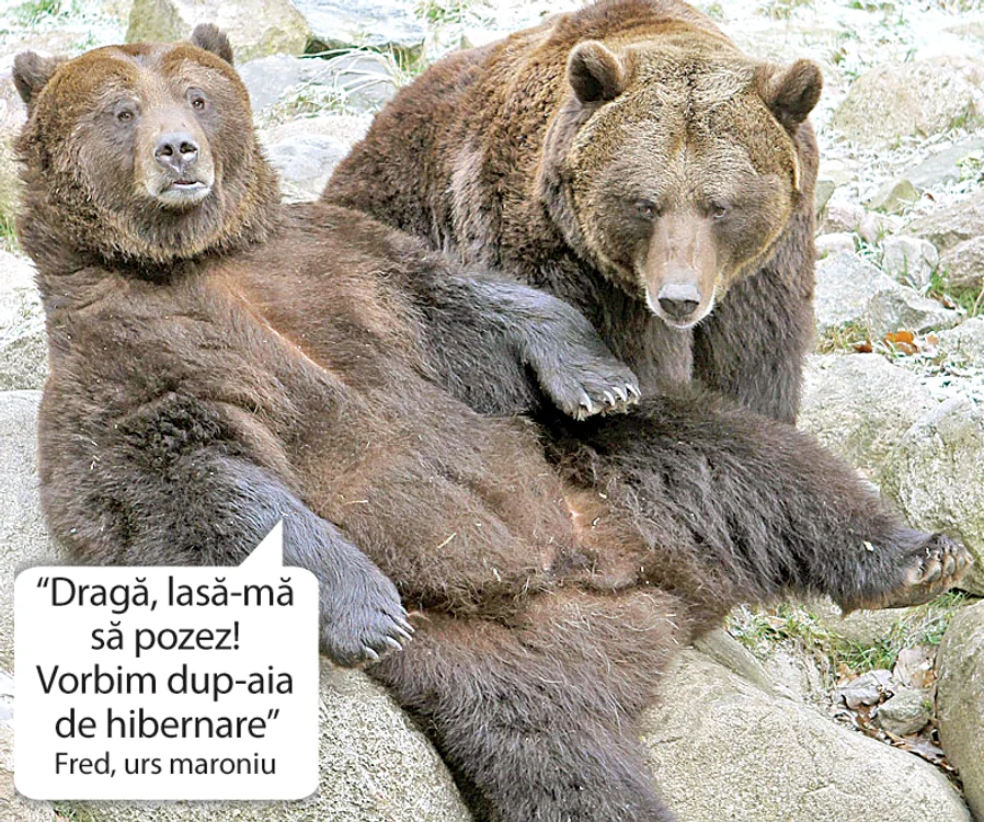 Şi animăluţele ştiu să pozeze
