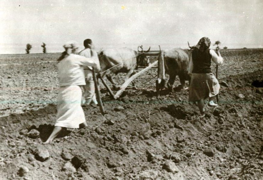 Luciana Jinga, istoric: „Femeia din mediul rural a fost marea pierzătoare a perioadei comuniste“ 