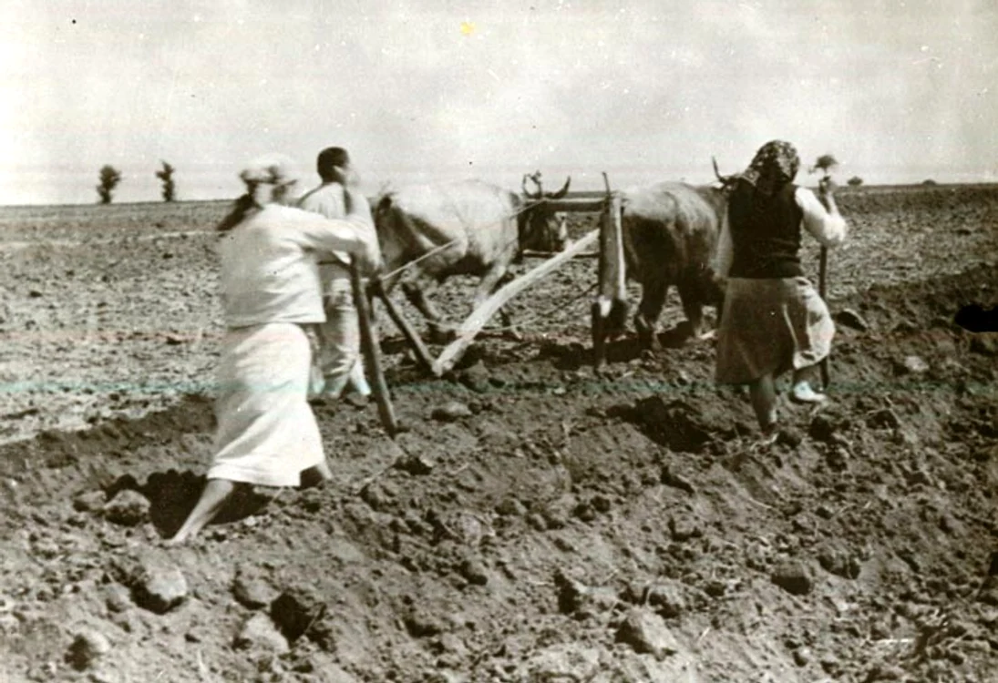 Femeile din mediul rural Arhivă Minerva 
