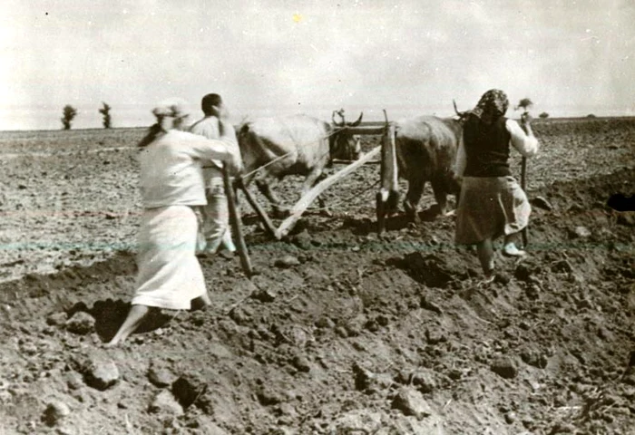 Femeile din mediul rural Arhivă Minerva 