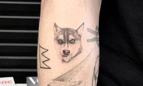 Joe Jonas şi a tatuat chipul câinelui Wlado pe braţul drept  jpeg