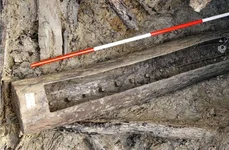 Troacă preistorică de lemn (cca. 1050-850 î.Hr.). Foto: Muzeul Național al Carpaților Răsăriteni