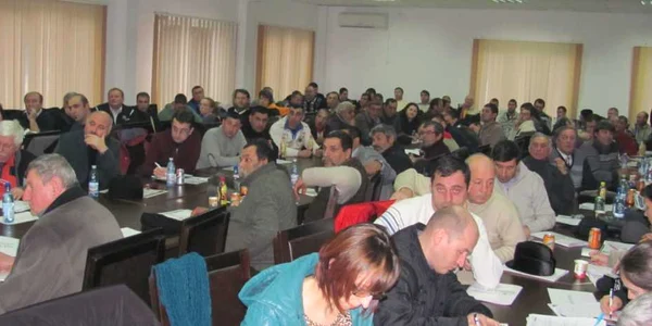 dezbatere bacesti