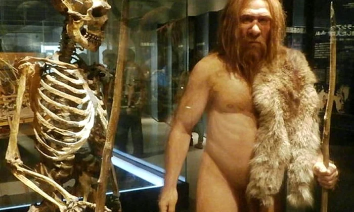 Neanderthalienii ne au influenţat negativ sănătatea jpeg