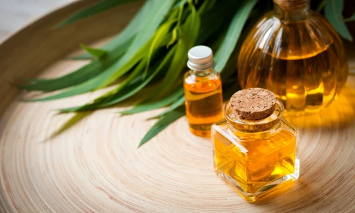 1 shutterstock 695788966 jpg jpeg