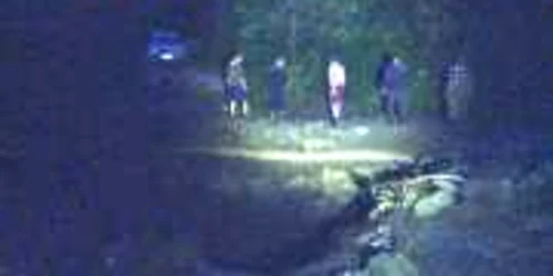 alunecari malu cu flori