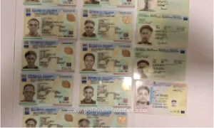 acte de identitate false jpg